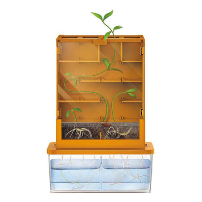 4M KIDS LABS/GREEN SCI-GROW-A-MAZE